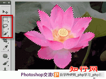 photoshop选区