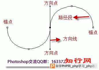 ps钢笔工具怎么用