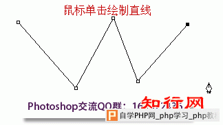 钢笔工具绘制直线