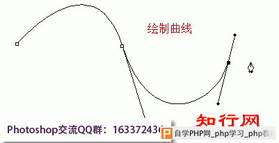 钢笔工具绘制平滑曲线