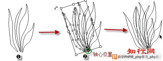 定义自定形状