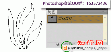 ps选区描边