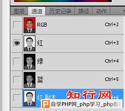 photoshop通道,应用图像，魔棒的综合运用，将彩色底证件照换成白底2