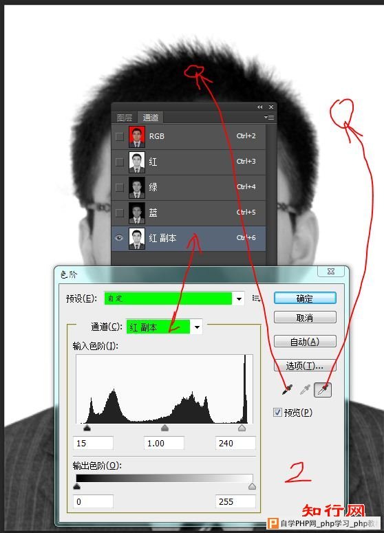 photoshop通道,应用图像，魔棒的综合运用，将彩色底证件照换成白底4