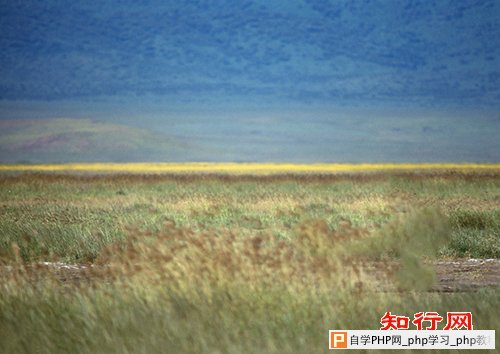 效果图
