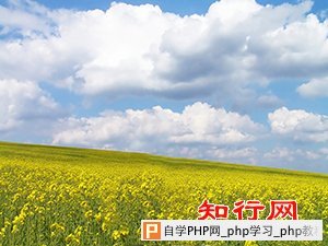简单的水印