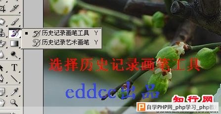 虚化背景的方法 - 孤台明月 - 孤台明月的博客