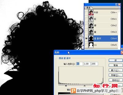 PS人必须掌握的技能之通道抠图（头发） - 袋鼠 - ybcppeng