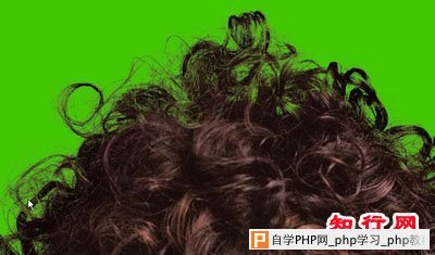 PS人必须掌握的技能之通道抠图（头发） - 袋鼠 - ybcppeng