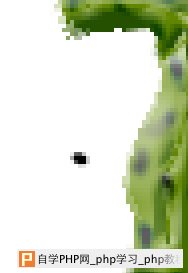 天极设计在线_Photoshop滤镜打造带刺的仙人掌文字特效