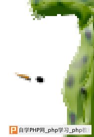 天极设计在线_Photoshop滤镜打造带刺的仙人掌文字特效