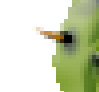 天极设计在线_Photoshop滤镜打造带刺的仙人掌文字特效