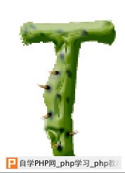 天极设计在线_Photoshop滤镜打造带刺的仙人掌文字特效