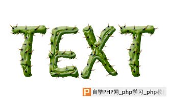 天极设计在线_Photoshop滤镜打造带刺的仙人掌文字特效