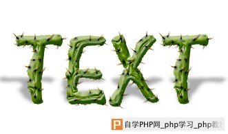天极设计在线_Photoshop滤镜打造带刺的仙人掌文字特效