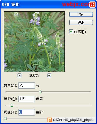 Photoshop让花卉照片更加清晰嫩绿