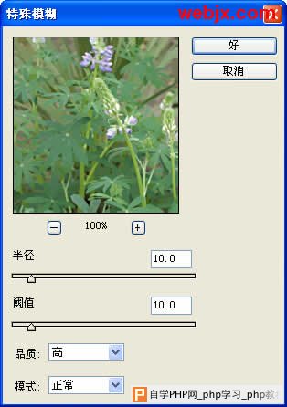 Photoshop让花卉照片更加清晰嫩绿