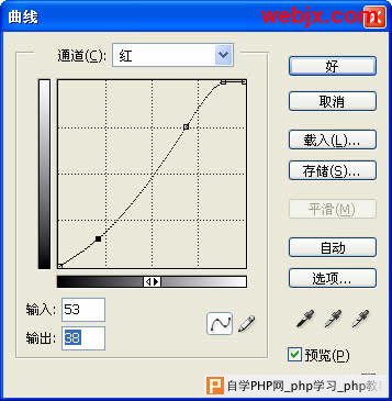 Photoshop让花卉照片更加清晰嫩绿
