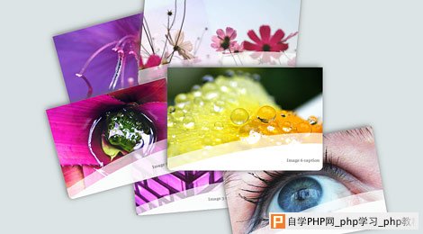 image gallery