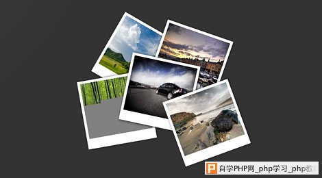polaroid gallery