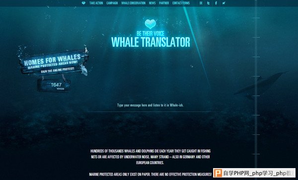 Whale Translator