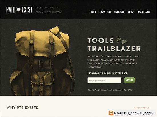 Textured website design example: Paid to Exist
