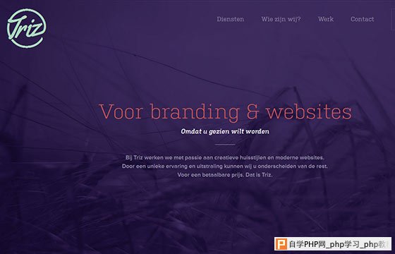 Fresh One Page Website Design