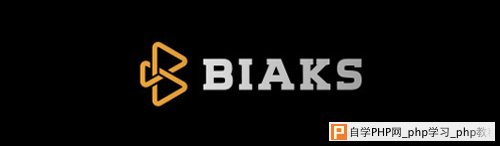 BIAKS Logo Design