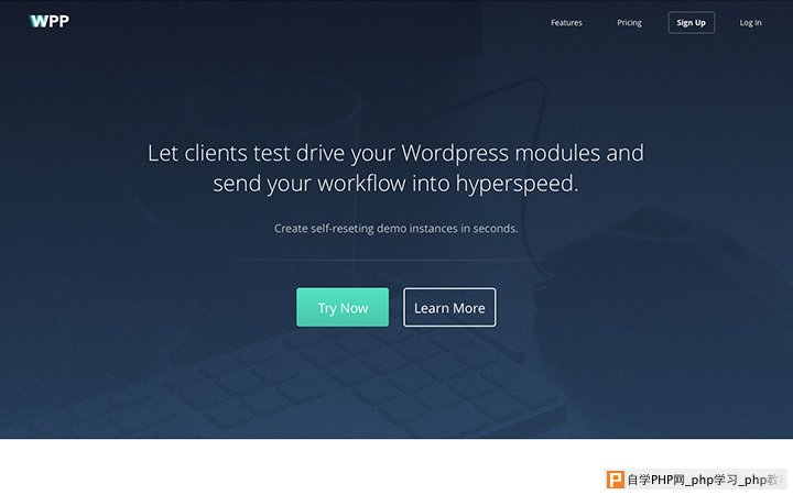 wpp portfolio dark studio layout