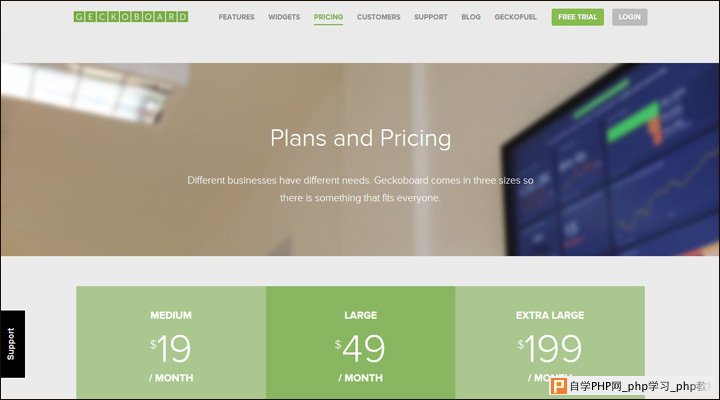 damndigital_21-examples-of-pricing-pages-in-web-design_geckoboard_2013-05