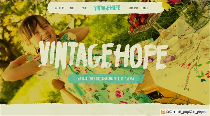 damndigital_21-examples-of-pricing-pages-in-web-design_vintage-hope_2013-05