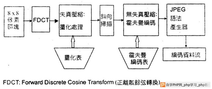 正离散余弦转换