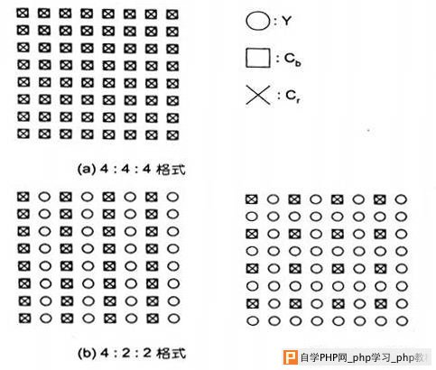 jpg取样