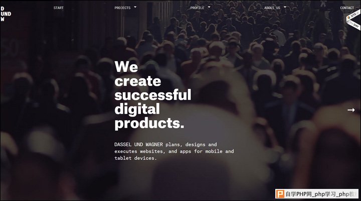 damndigital_21-inspiring-examples-of-big-images-in-web-design_dassel-und-wagner
