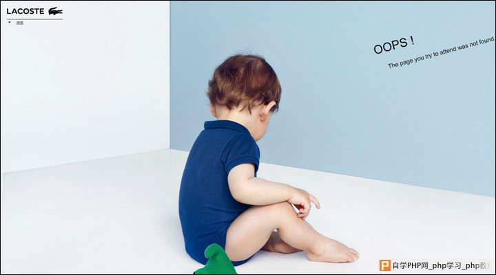 damndigital_21-inspiring-examples-of-big-images-in-web-design_lacoste