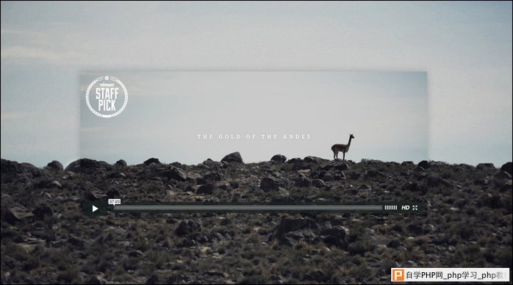 damndigital_18-examples-of-minimalistic-web-designs_the-gold-of-the-andes