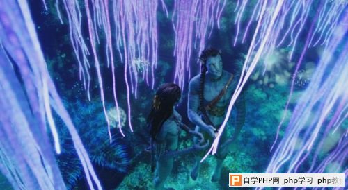 网站建设