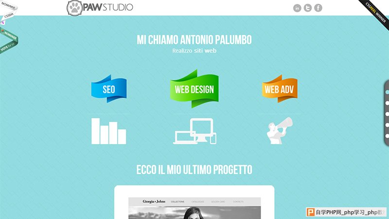 Paw Studio