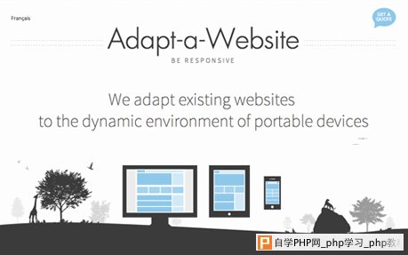 Adapt a Website