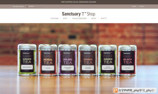Sanctuary T Shop