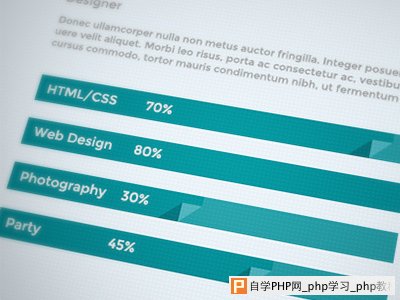 Flat Progess Bar by Erdis Driza in 40 Progress Bar Designs for Inspiration