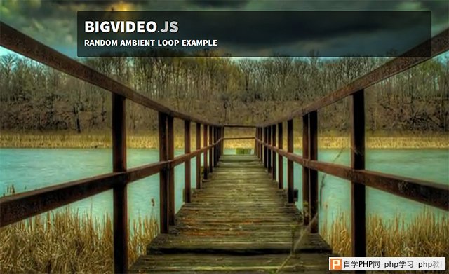 video-background-website5