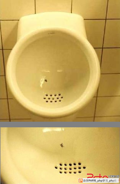 体验设计