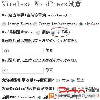Wireless-WordPress设置