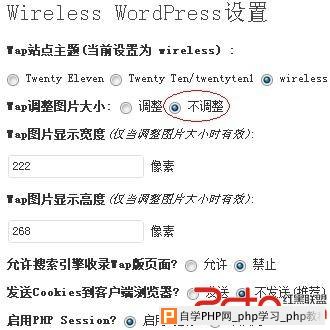 Wireless-WordPress设置