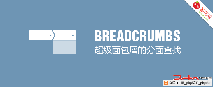 网站设计分析：超级面包屑的分面查找 - html/cs