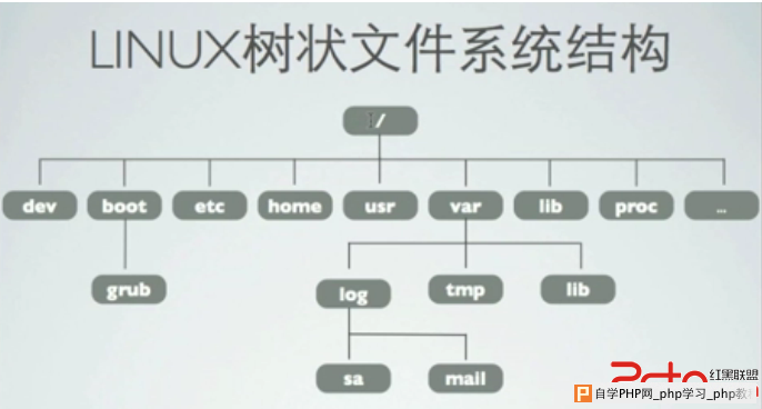 Linux入门基础#2：Linux文件系统基本结构 - Linux操作