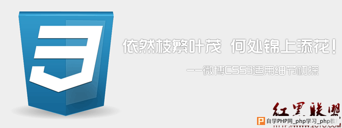 网站交互设计分析：依然枝繁叶茂 何处锦上添花