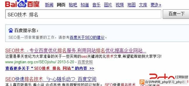 seo技术 排名网站