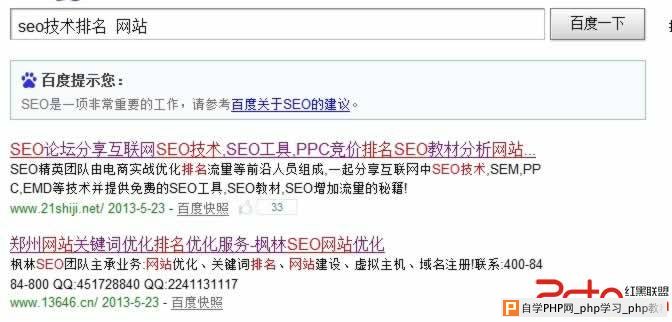 seo技术 排名网站